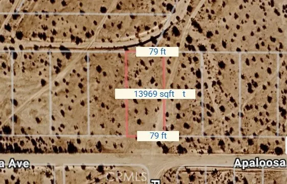 Apaloosa California City, CA 93523
