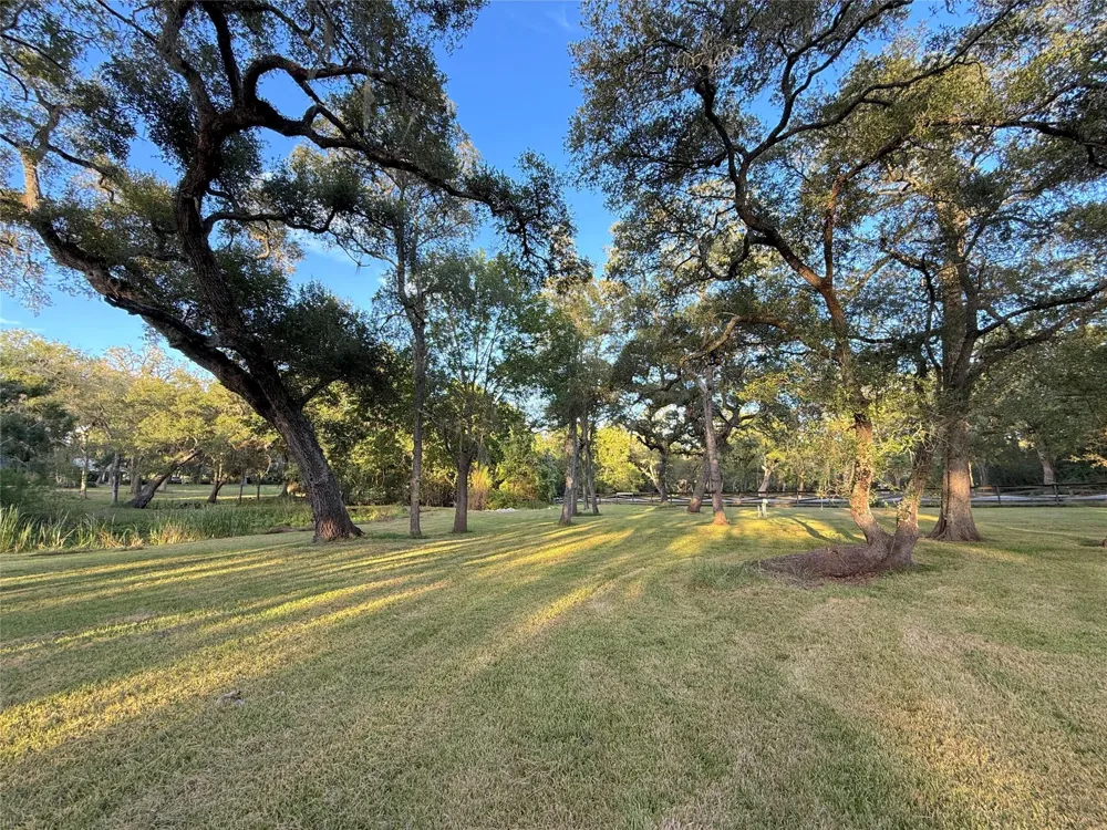 River Oaks Road Damon, TX 77430