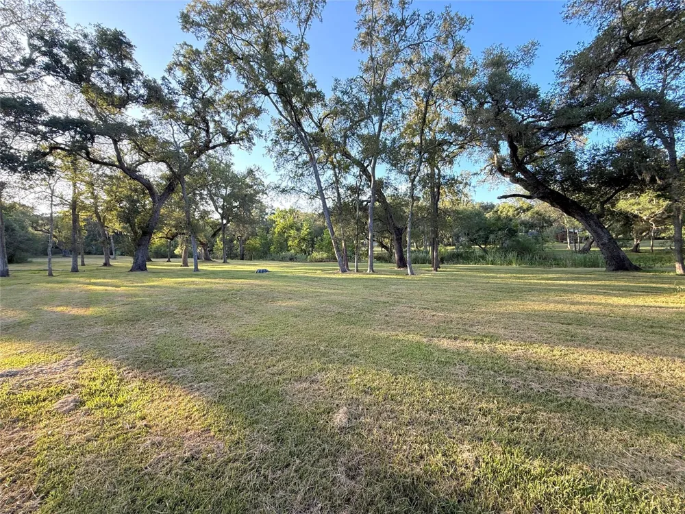 River Oaks Road Damon, TX 77430