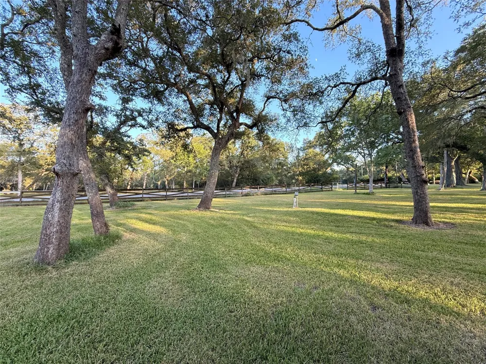 River Oaks Road Damon, TX 77430