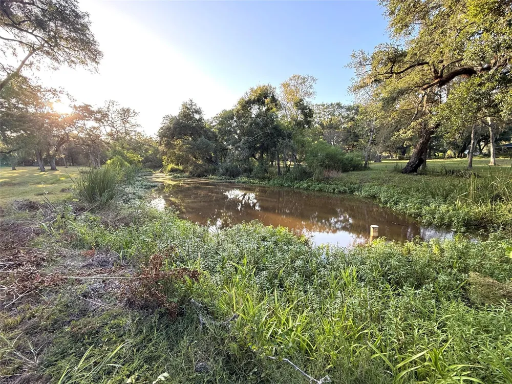 River Oaks Road Damon, TX 77430