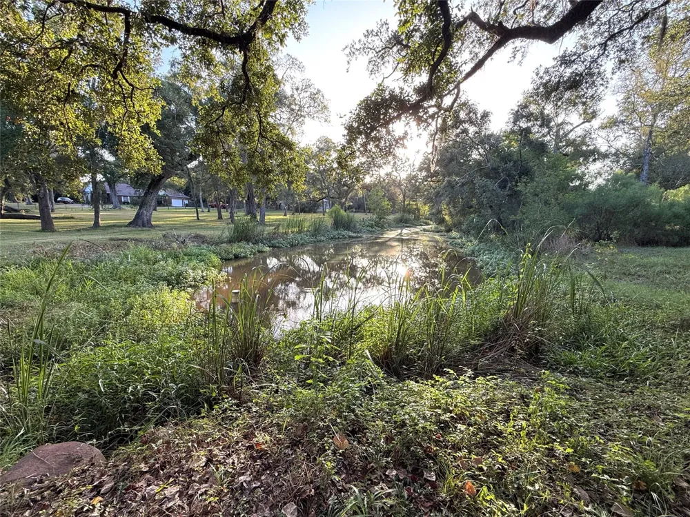 River Oaks Road Damon, TX 77430
