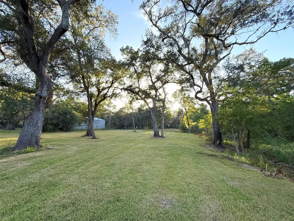 River Oaks Road Damon, TX 77430