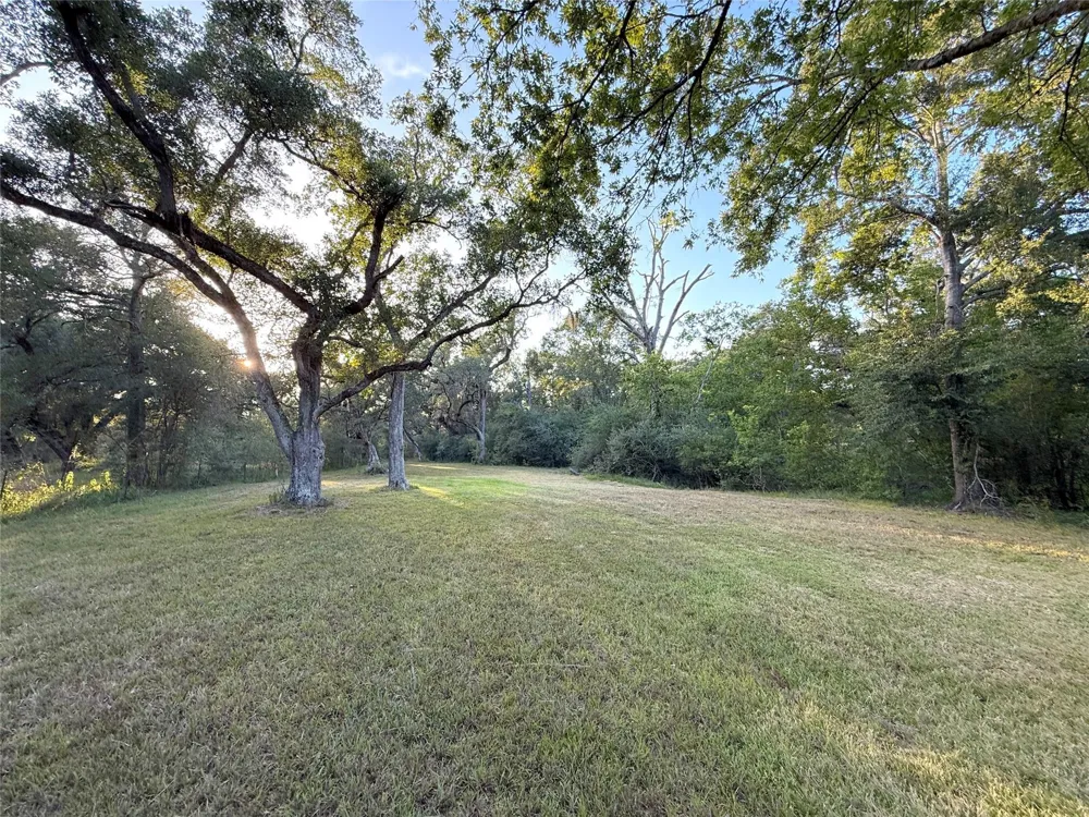 River Oaks Road Damon, TX 77430