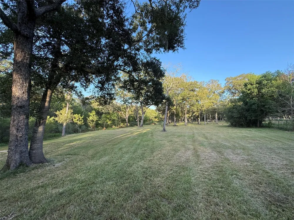River Oaks Road Damon, TX 77430