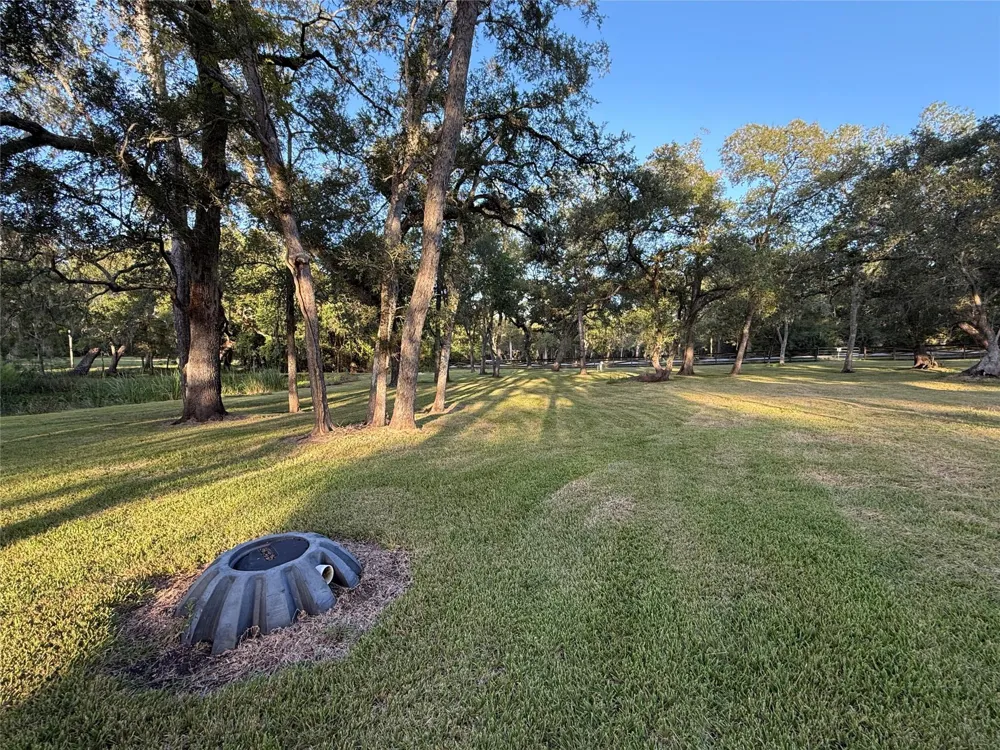 River Oaks Road Damon, TX 77430