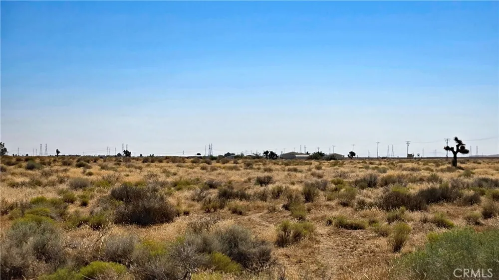 Avenue A near 140th St W      West Rosamond, CA 93560