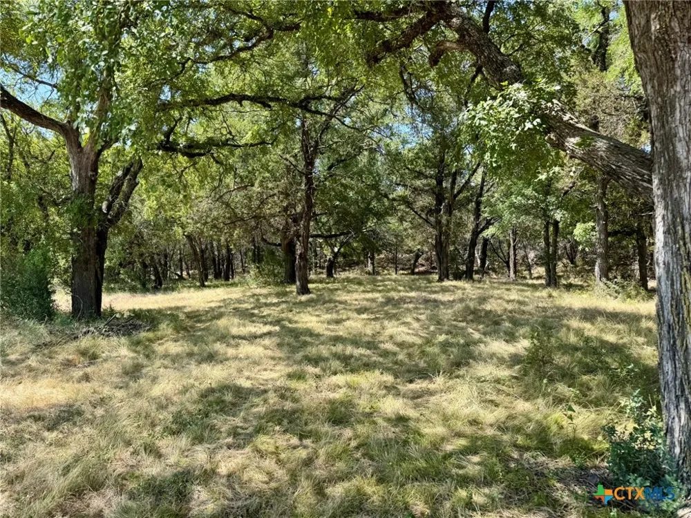 745 S Rocky Trail Lampasas, TX 76550