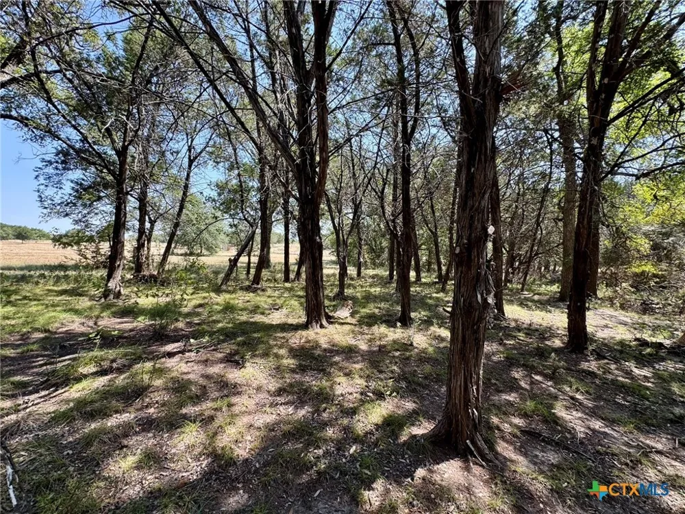 745 S Rocky Trail Lampasas, TX 76550
