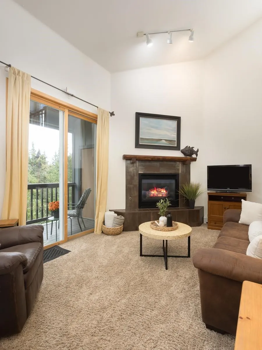 10000 Ryan Gulch Road #312 Wildernest, CO 80498