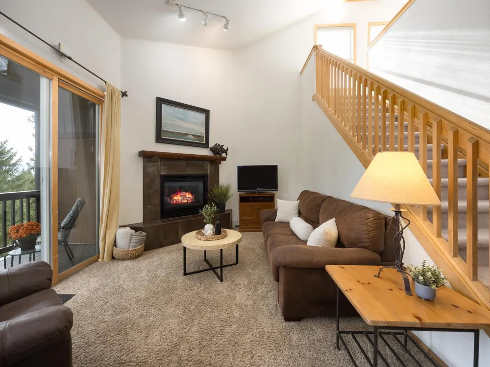 10000 Ryan Gulch Road #312 Wildernest, CO 80498