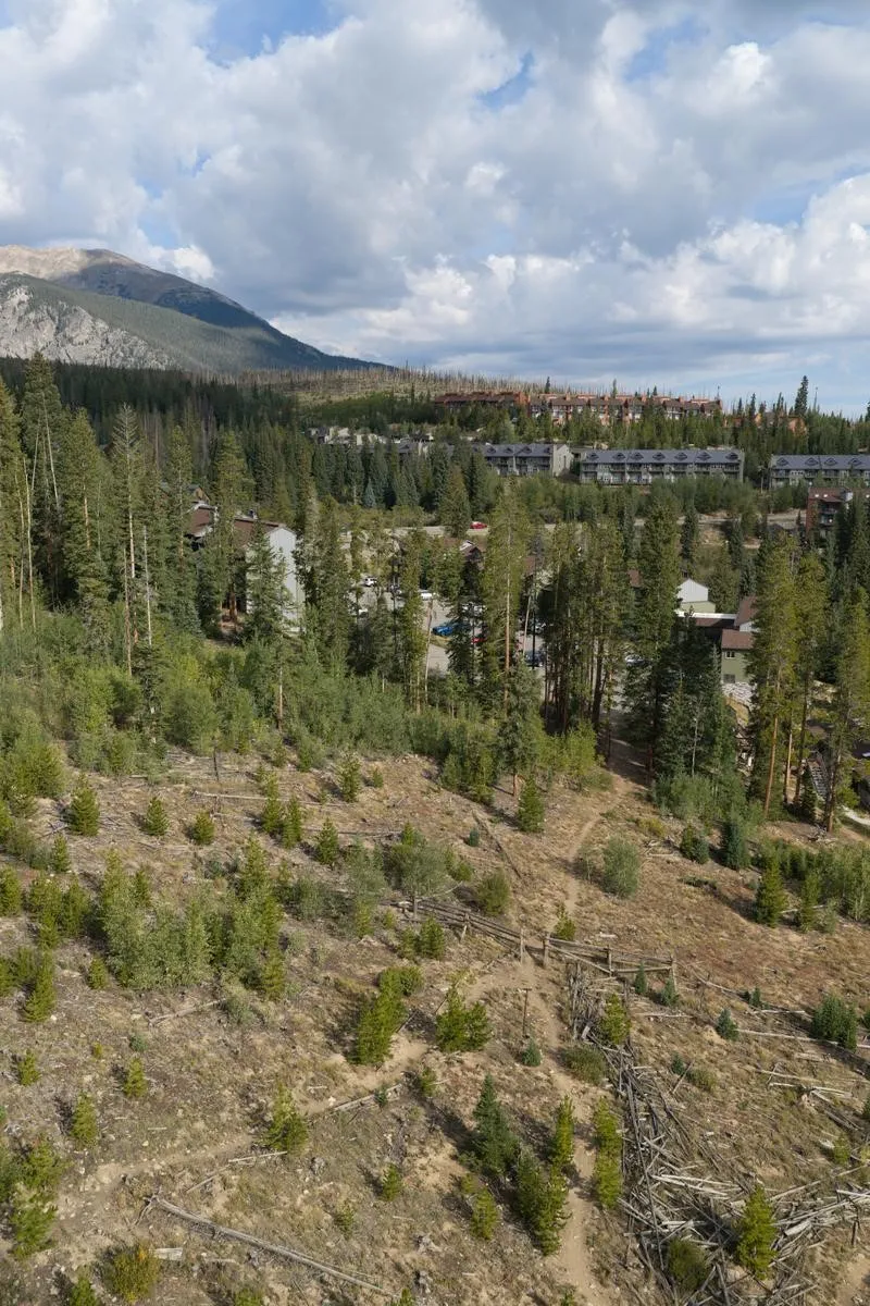 10000 Ryan Gulch Road #312 Wildernest, CO 80498