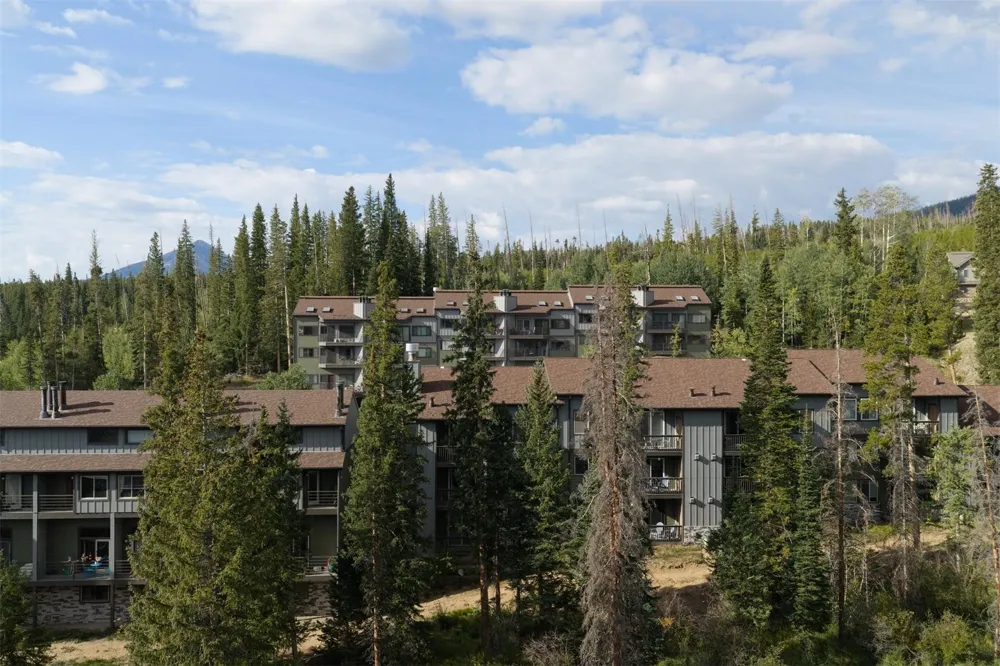 10000 Ryan Gulch Road #312 Wildernest, CO 80498