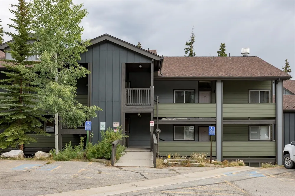10000 Ryan Gulch Road #312 Wildernest, CO 80498