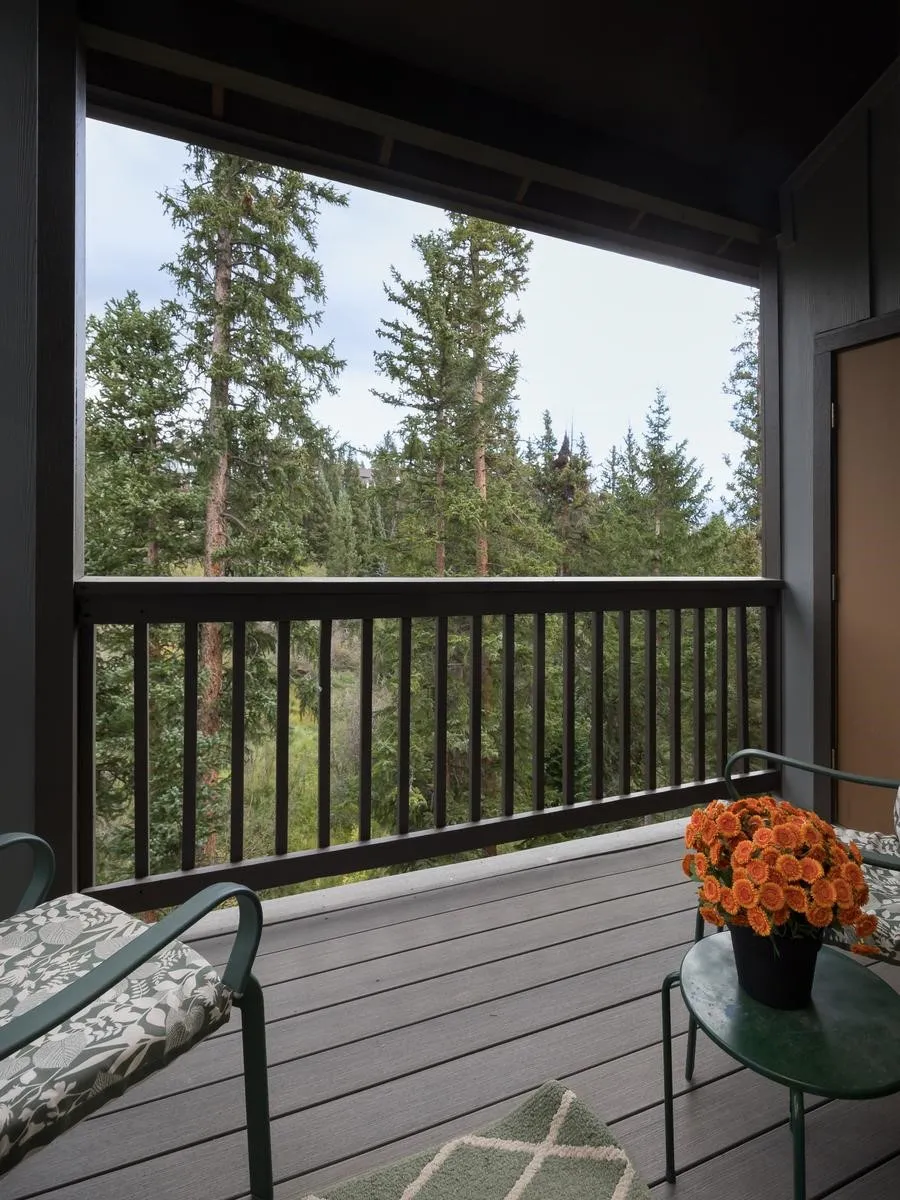10000 Ryan Gulch Road #312 Wildernest, CO 80498