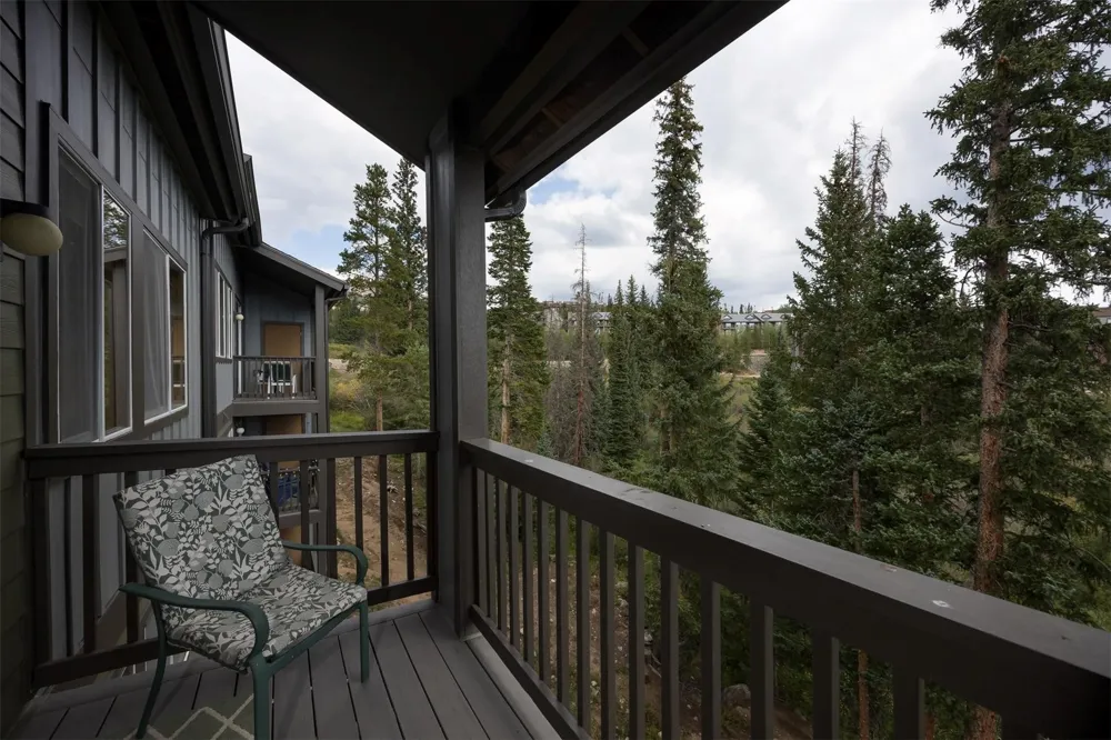 10000 Ryan Gulch Road #312 Wildernest, CO 80498
