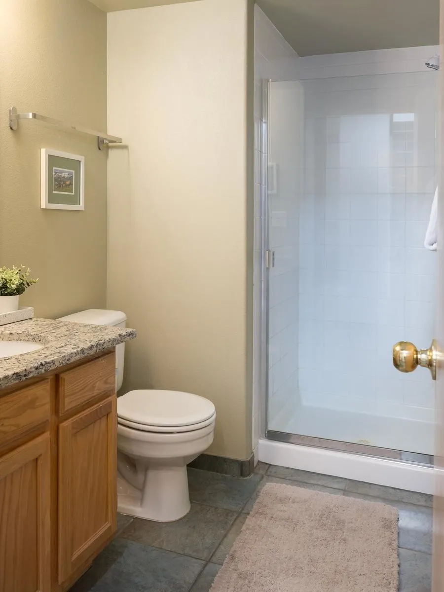 10000 Ryan Gulch Road #312 Wildernest, CO 80498