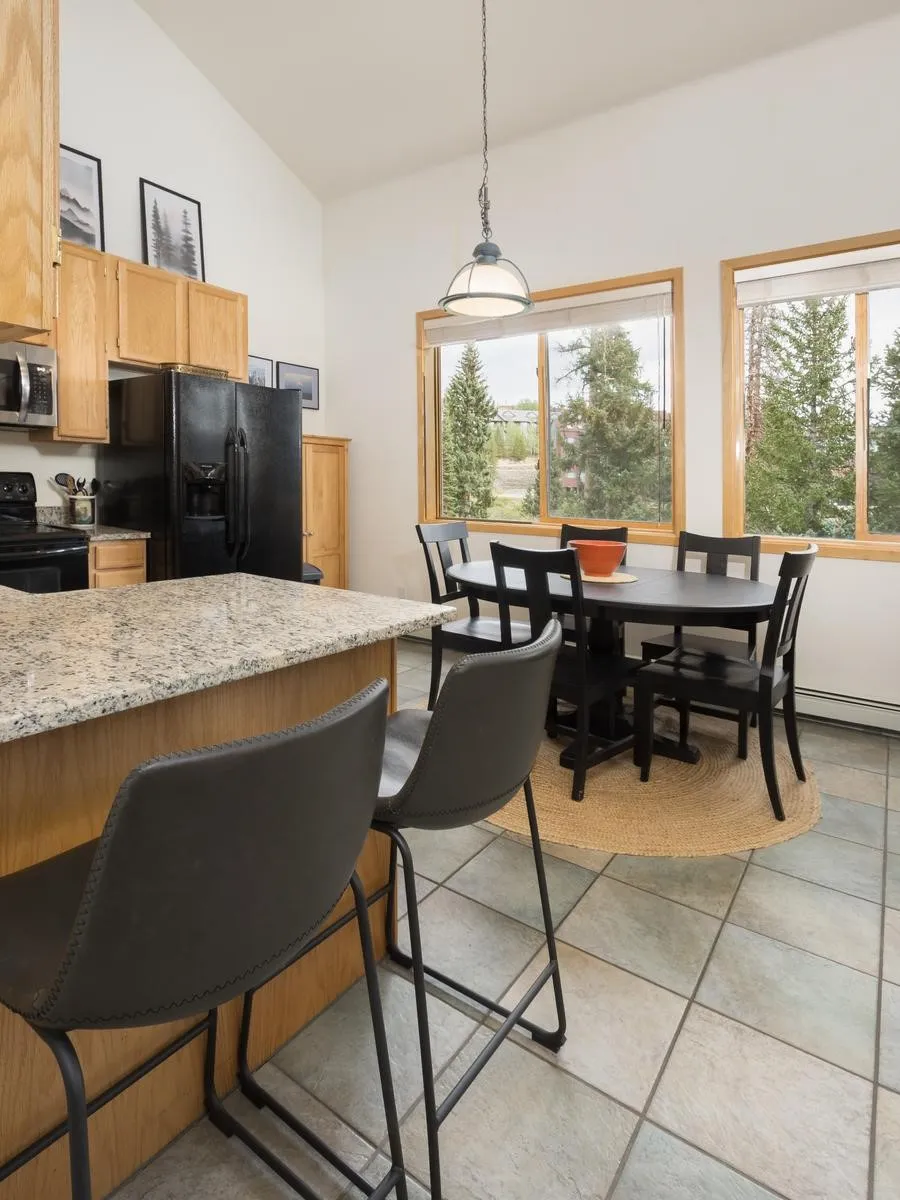 10000 Ryan Gulch Road #312 Wildernest, CO 80498