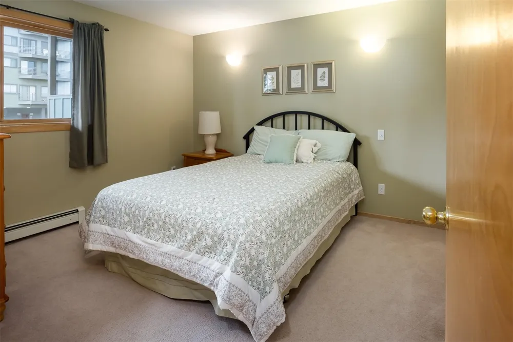 10000 Ryan Gulch Road #312 Wildernest, CO 80498