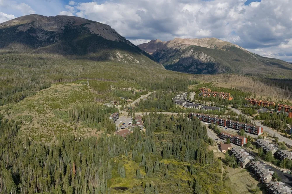 10000 Ryan Gulch Road #312 Wildernest, CO 80498