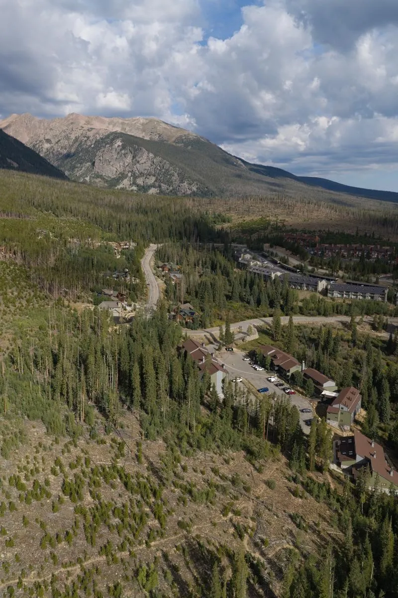 10000 Ryan Gulch Road #312 Wildernest, CO 80498