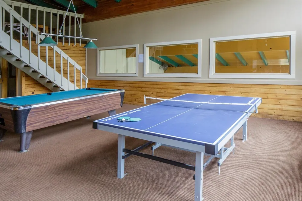 10000 Ryan Gulch Road #312 Wildernest, CO 80498