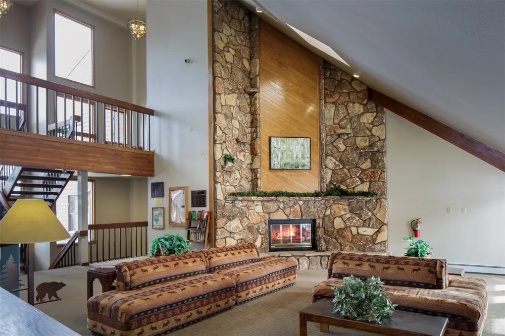 10000 Ryan Gulch Road #312 Wildernest, CO 80498
