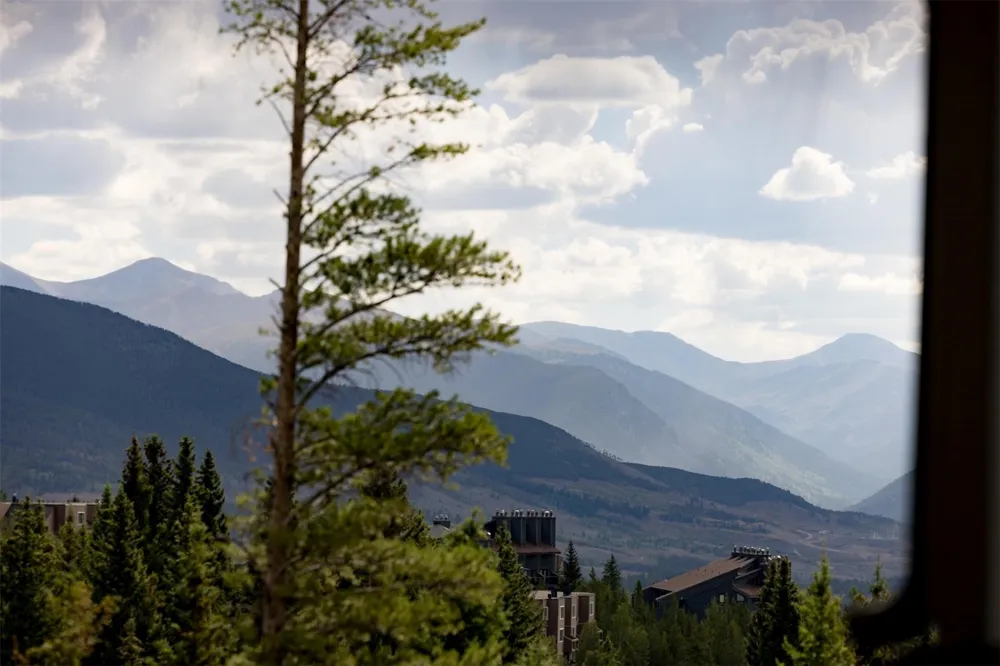 10000 Ryan Gulch Road #312 Wildernest, CO 80498