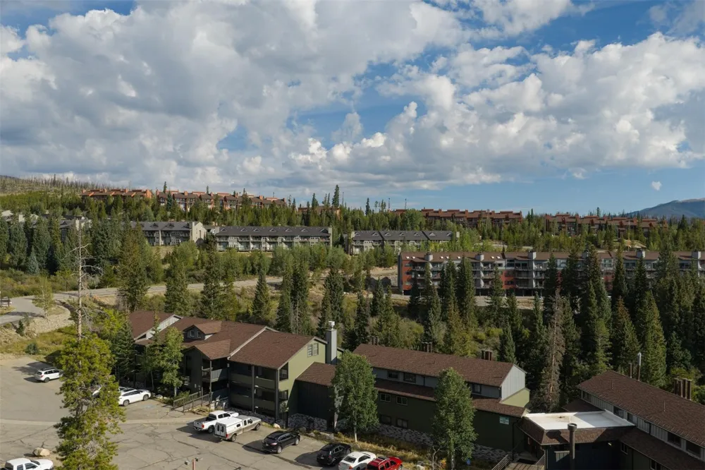 10000 Ryan Gulch Road #312 Wildernest, CO 80498