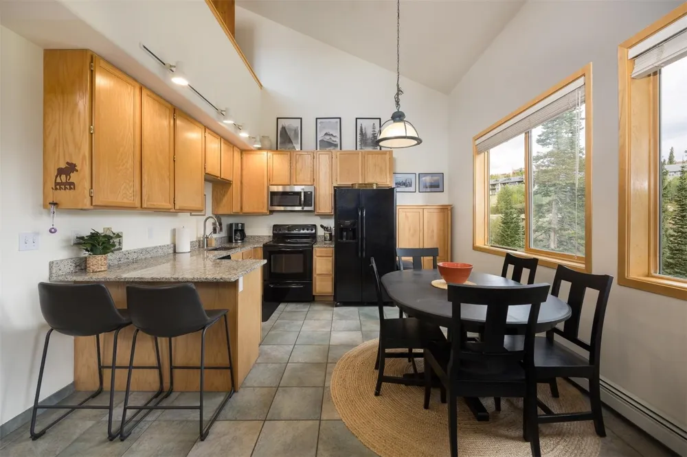 10000 Ryan Gulch Road #312 Wildernest, CO 80498