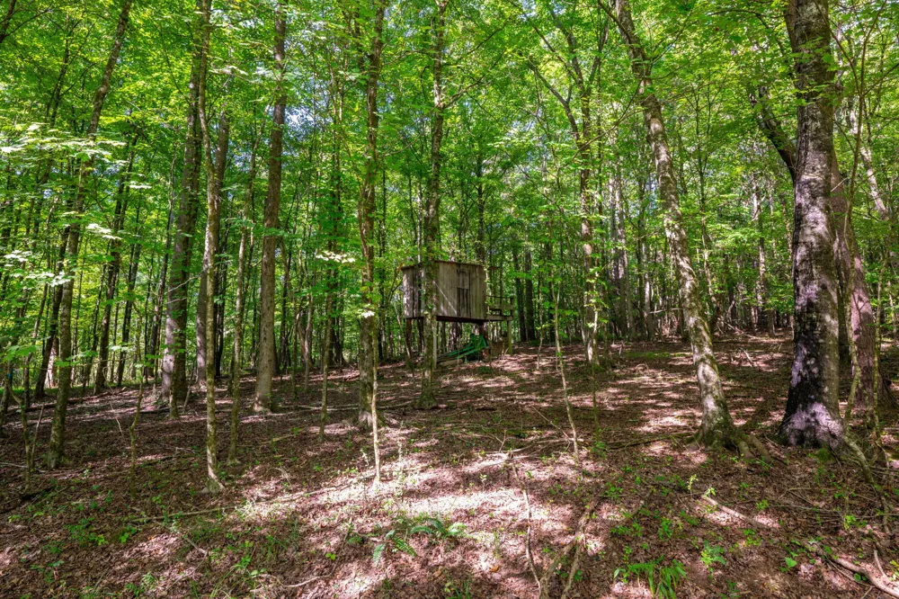 4851 Mcdonald Road McDonald, TN 37353