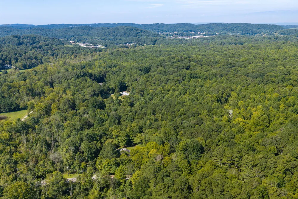 4851 Mcdonald Road McDonald, TN 37353