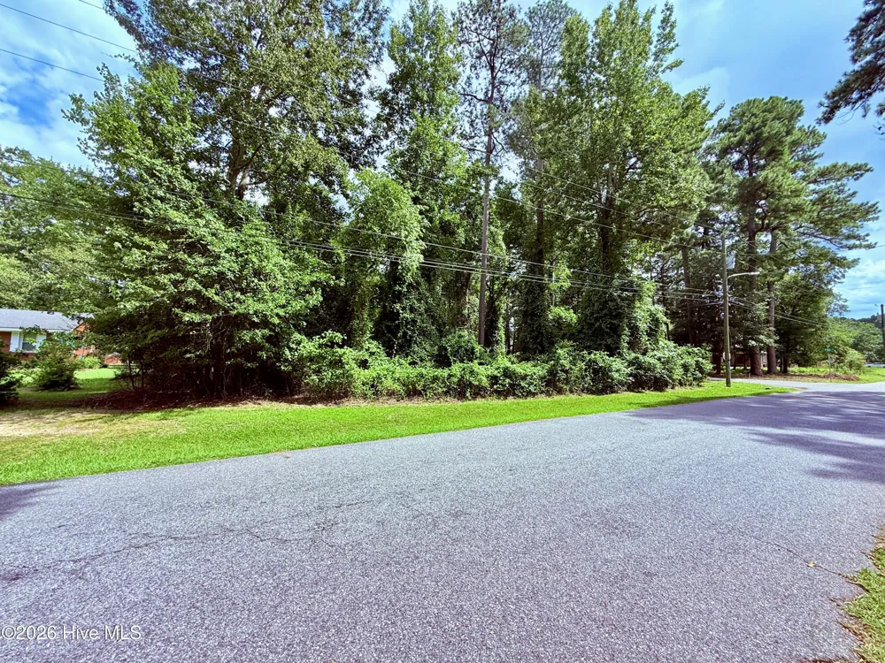 201 Forest Drive La Grange, NC 28551