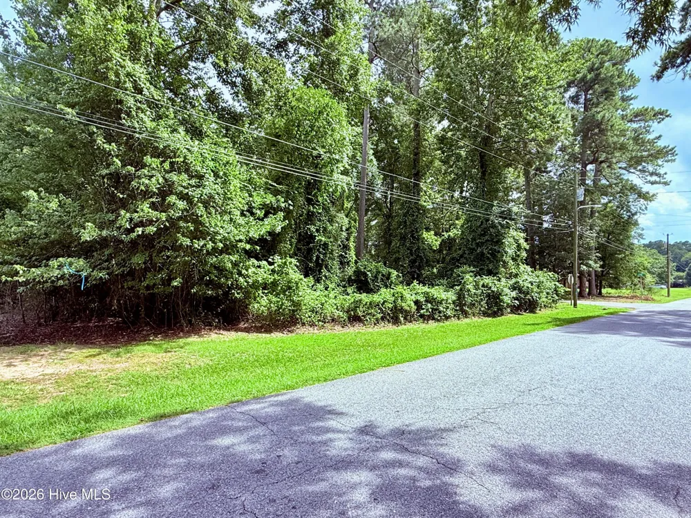 201 Forest Drive La Grange, NC 28551