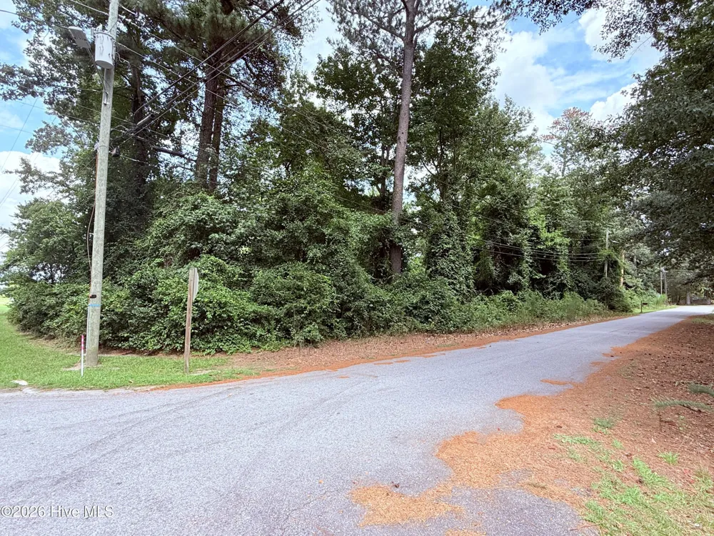 201 Forest Drive La Grange, NC 28551