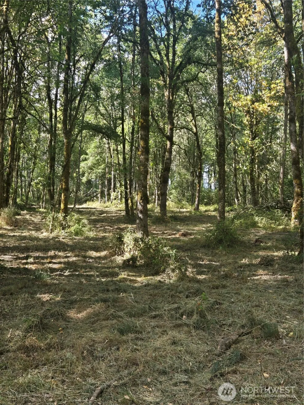 144 Dowling Road Toledo, WA 98591