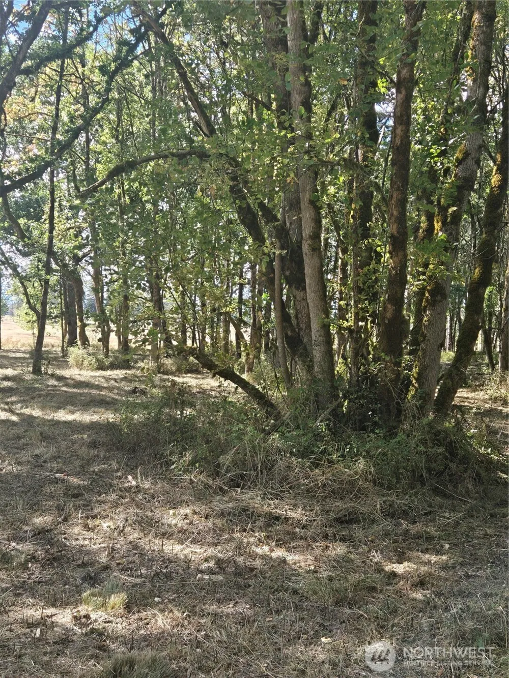 144 Dowling Road Toledo, WA 98591