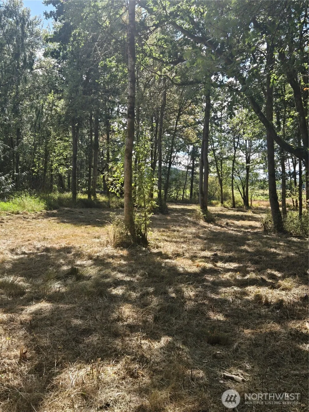 144 Dowling Road Toledo, WA 98591