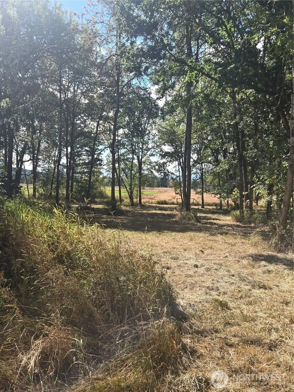 144 Dowling Road Toledo, WA 98591