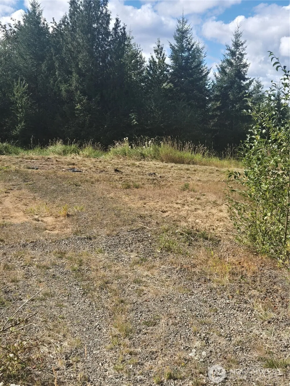 144 Dowling Road Toledo, WA 98591