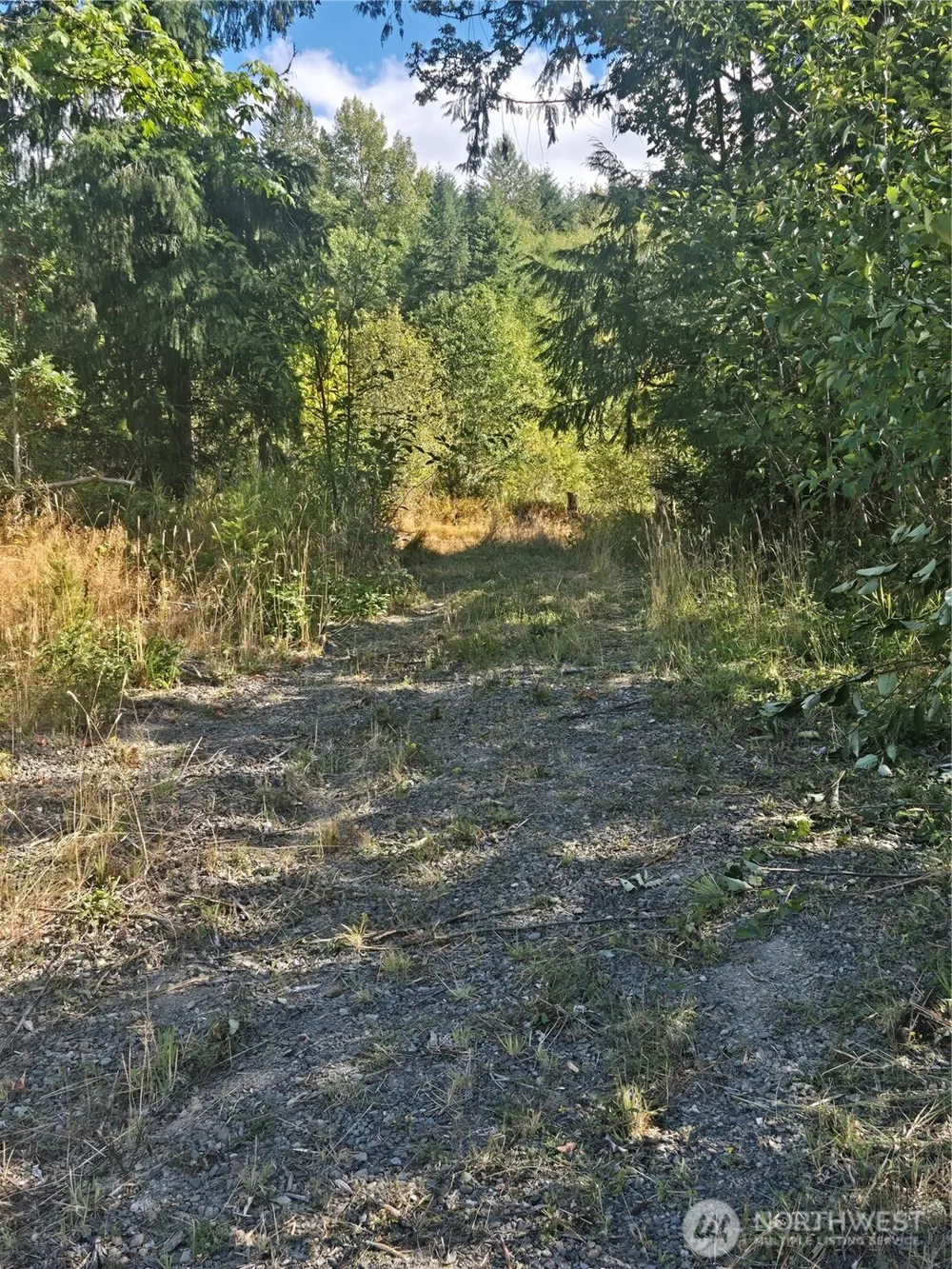 144 Dowling Road Toledo, WA 98591