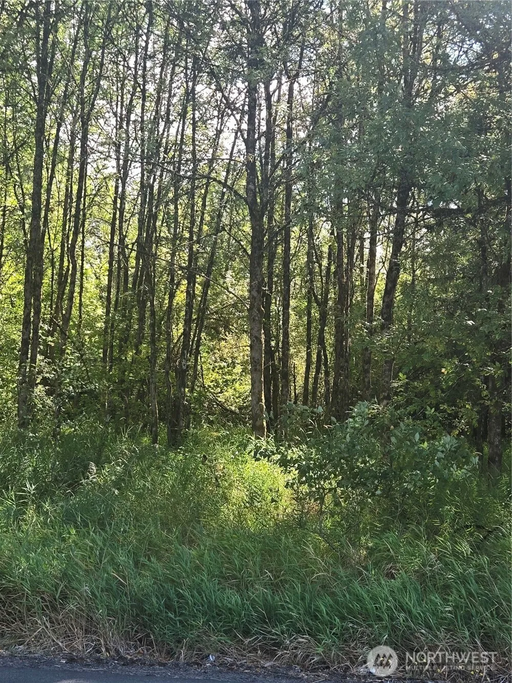 144 Dowling Road Toledo, WA 98591