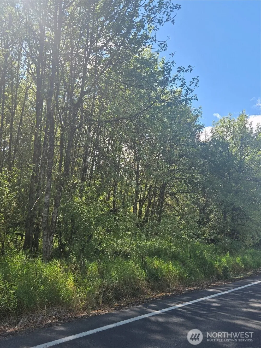 144 Dowling Road Toledo, WA 98591