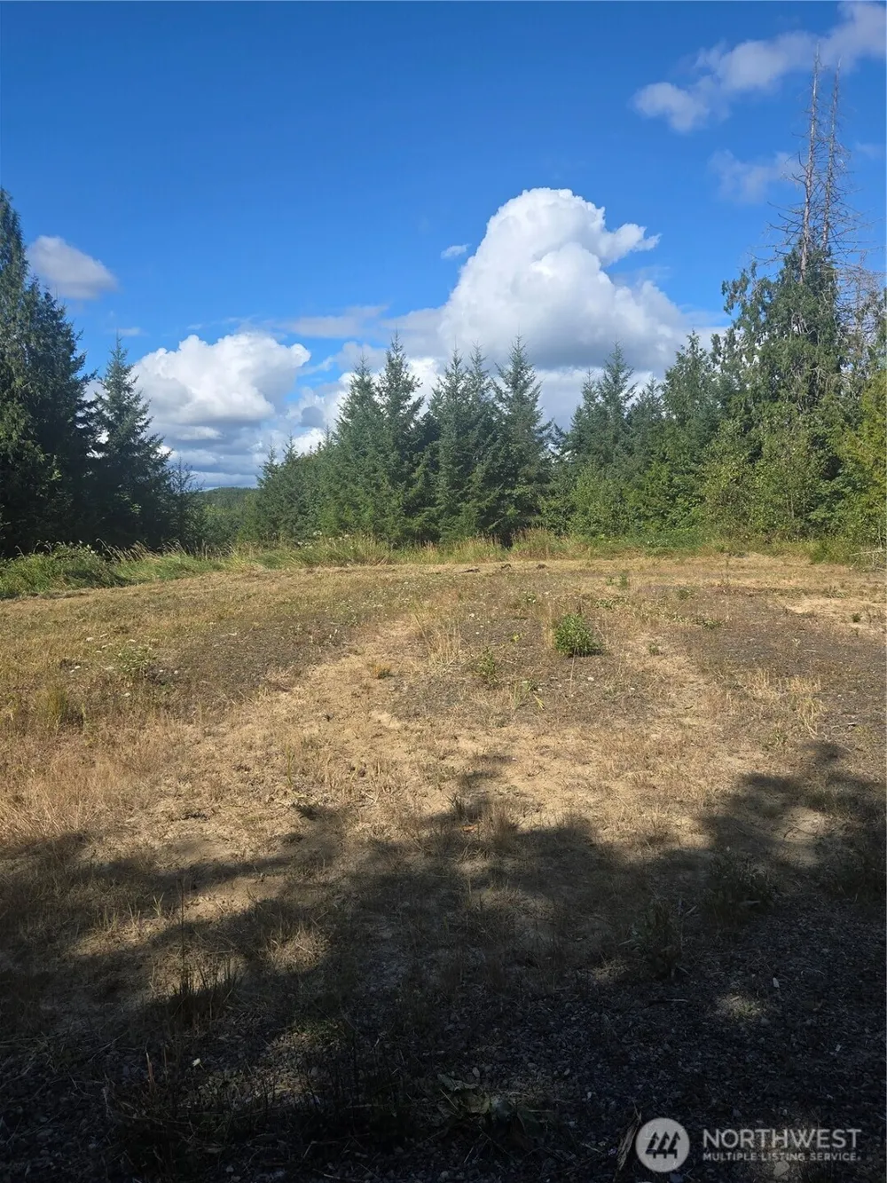 144 Dowling Road Toledo, WA 98591