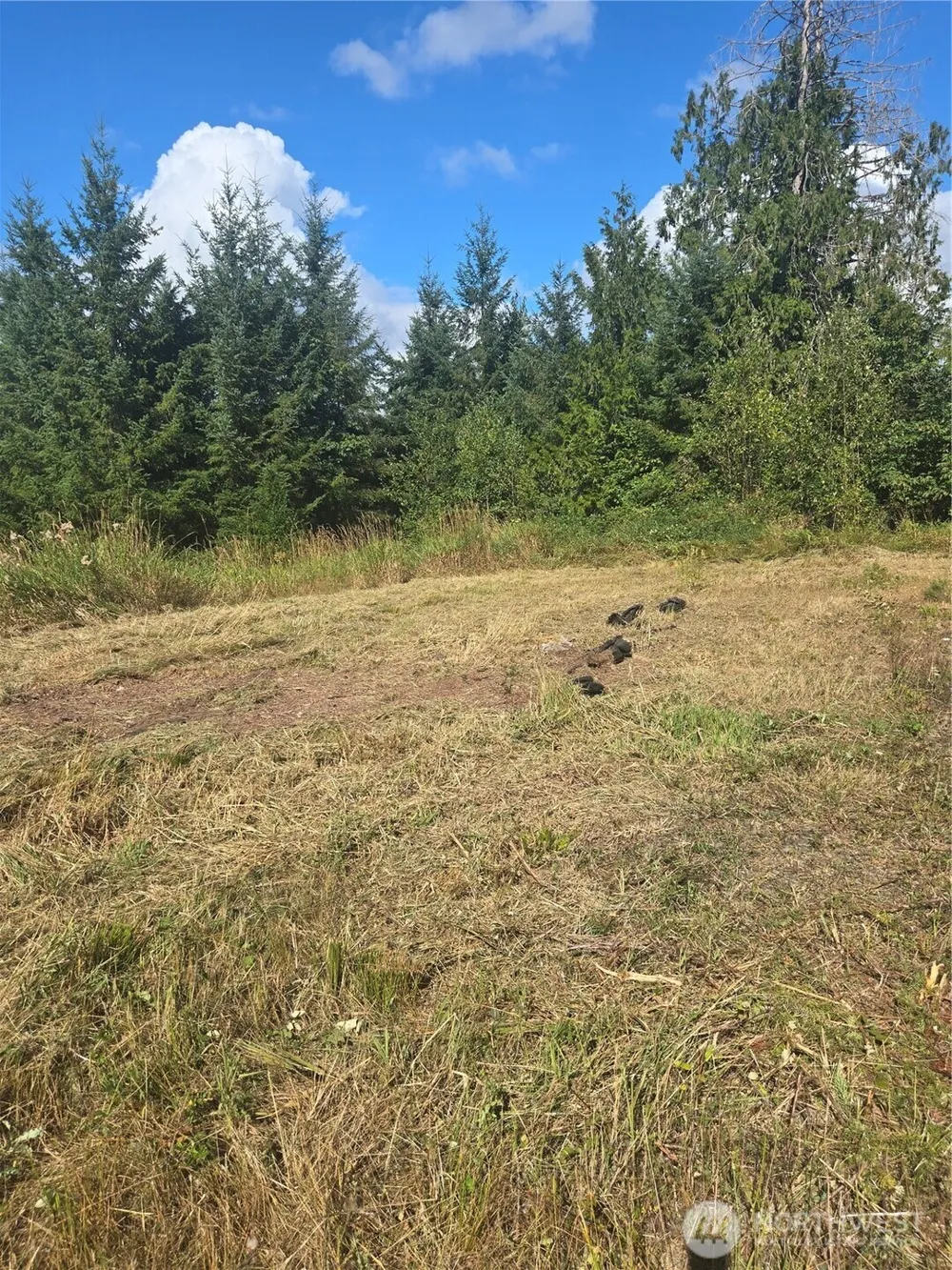 144 Dowling Road Toledo, WA 98591