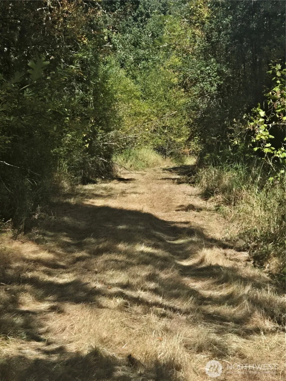 144 Dowling Road Toledo, WA 98591