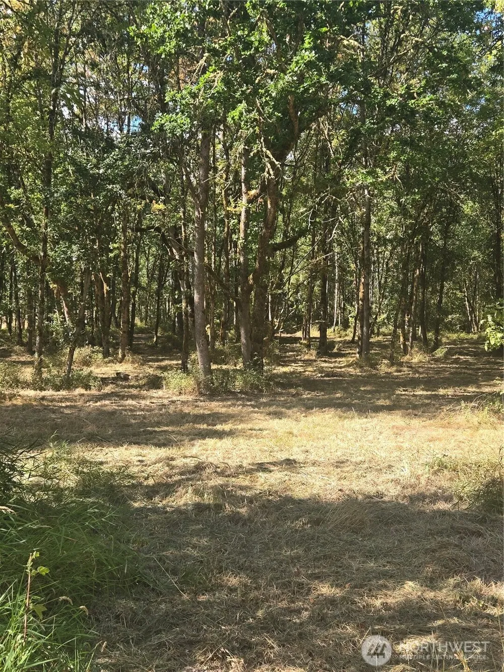 144 Dowling Road Toledo, WA 98591