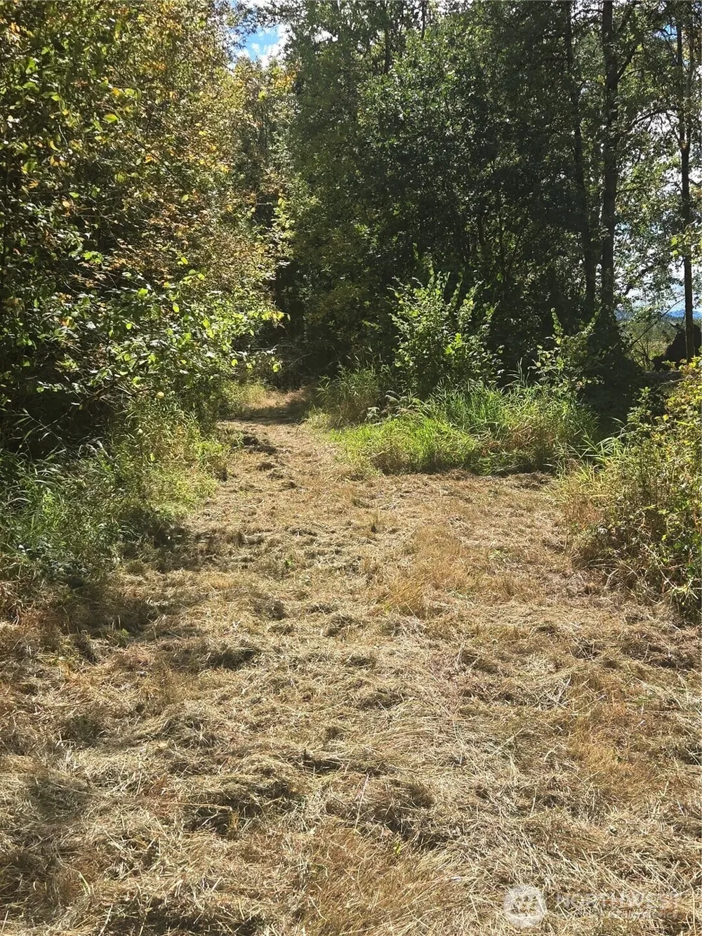 144 Dowling Road Toledo, WA 98591
