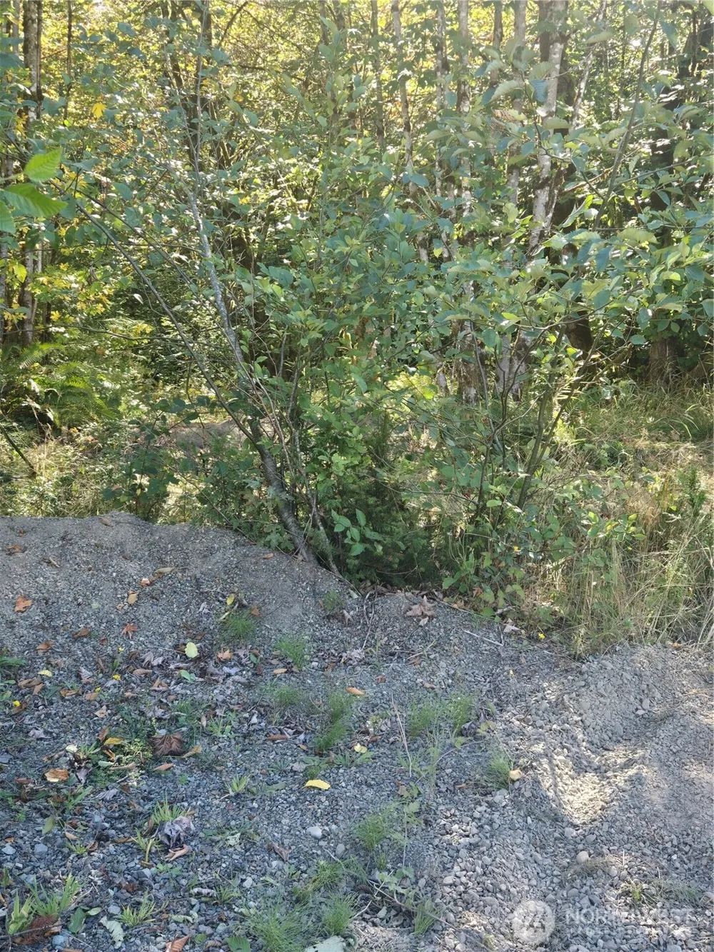 144 Dowling Road Toledo, WA 98591