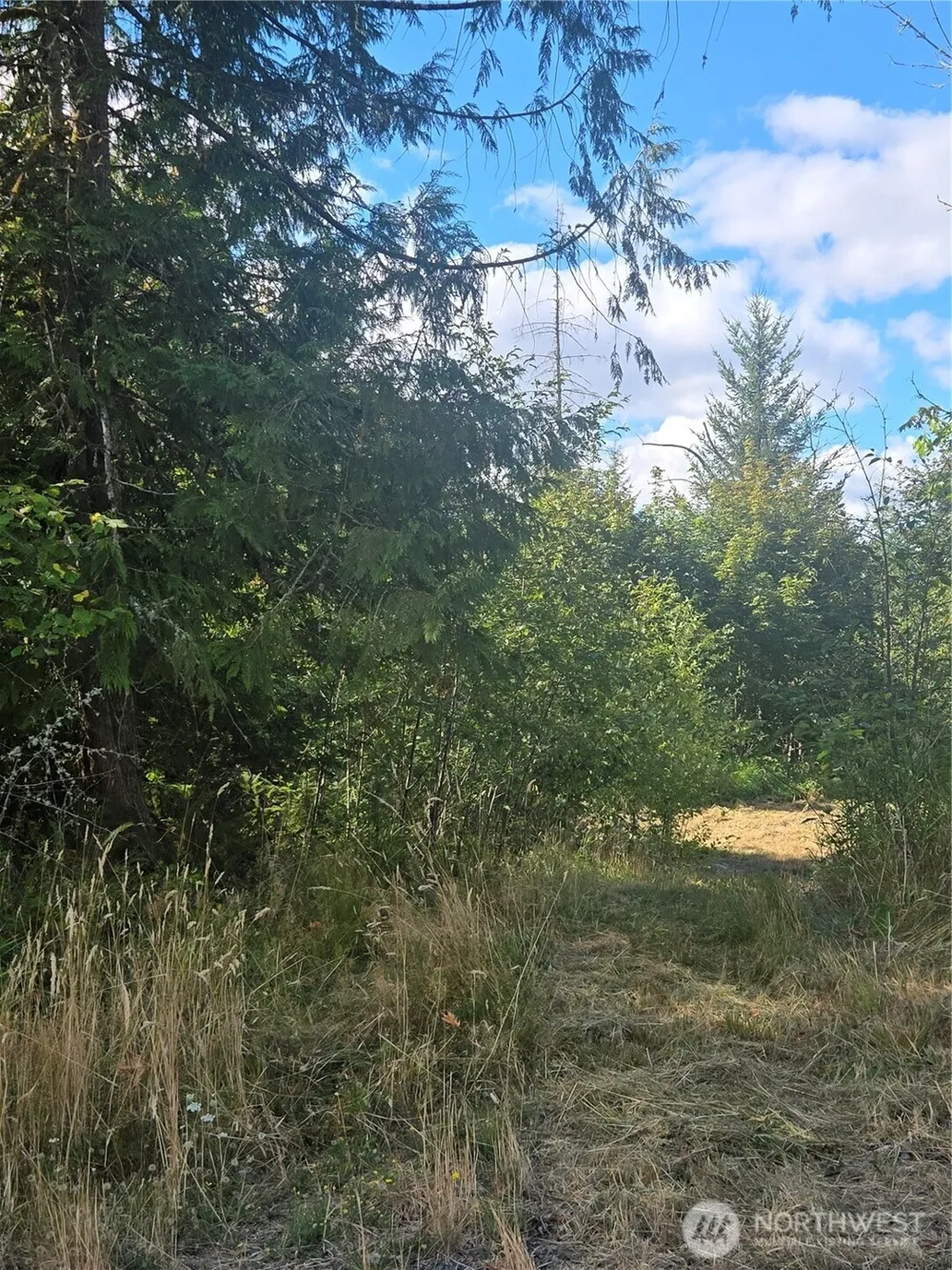 144 Dowling Road Toledo, WA 98591